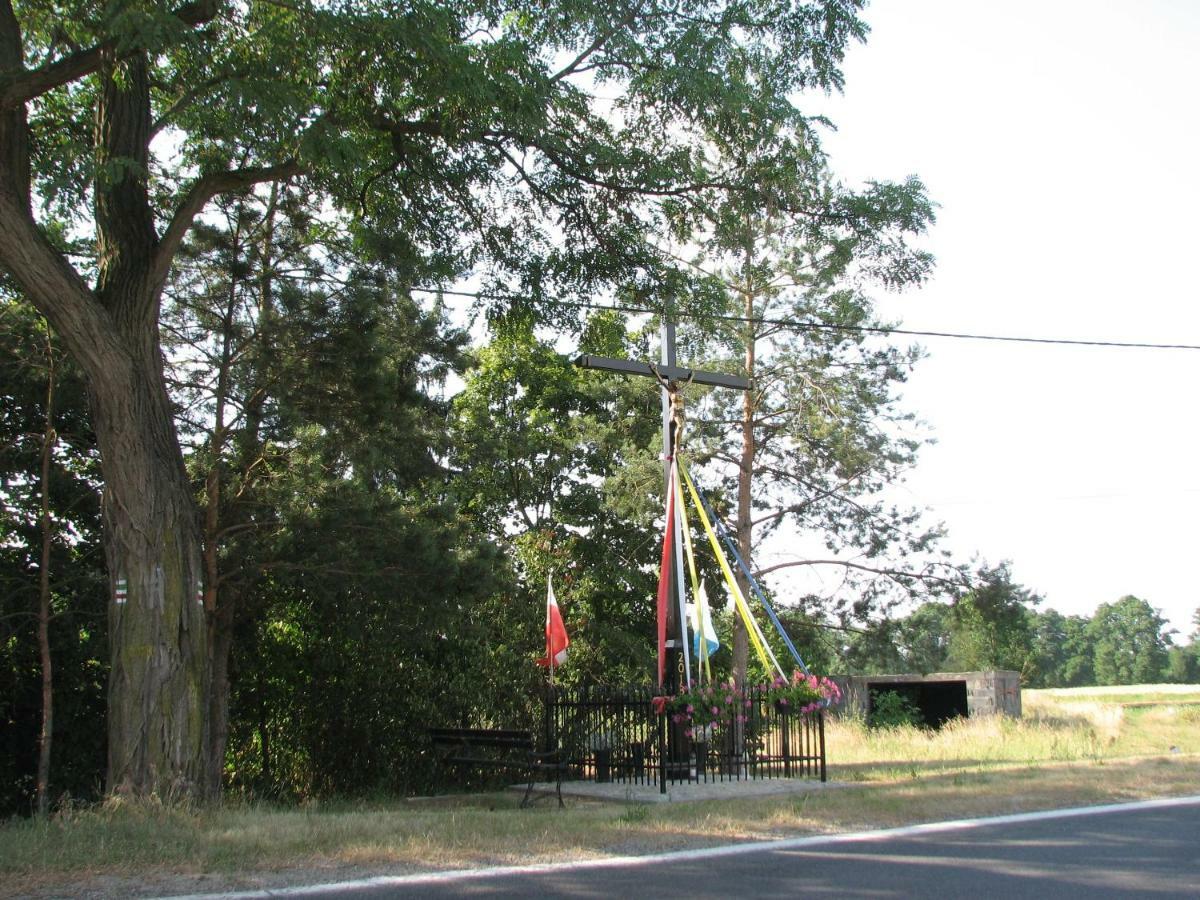 Вилла Strefa Kampinos Brochow Экстерьер фото