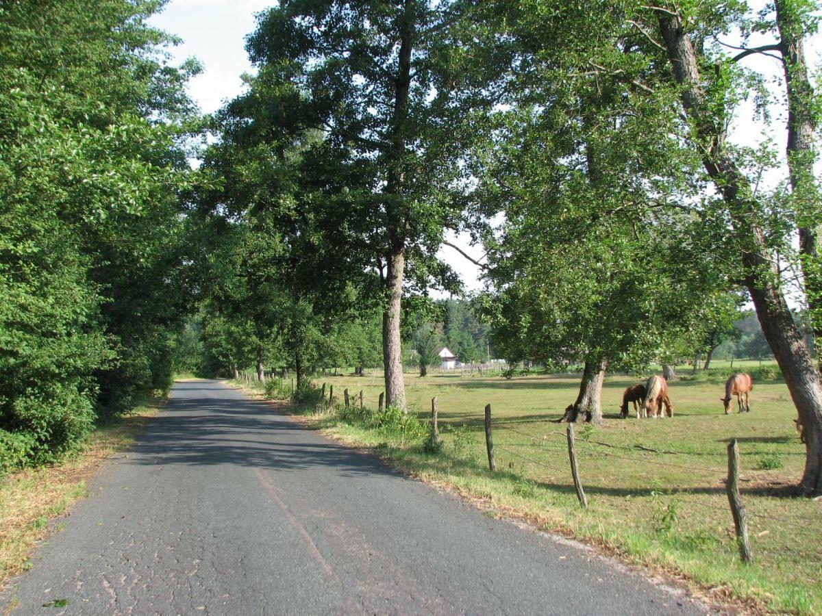 Вилла Strefa Kampinos Brochow Экстерьер фото