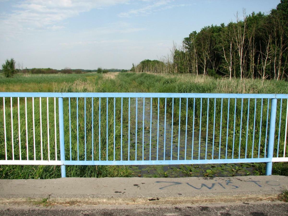Вилла Strefa Kampinos Brochow Экстерьер фото