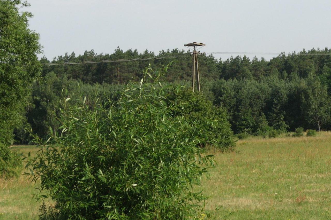 Вилла Strefa Kampinos Brochow Экстерьер фото